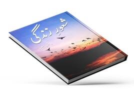 Urdu Language (Diaspora kids & adults)